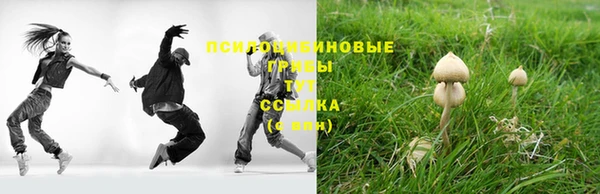 прущие крисы Алзамай