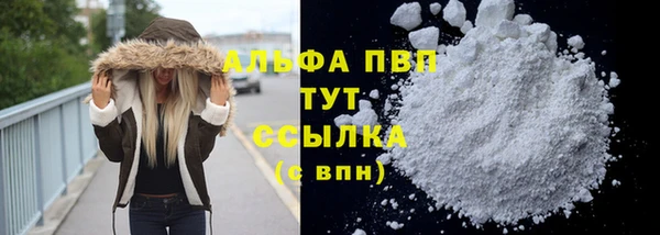 прущие крисы Арсеньев
