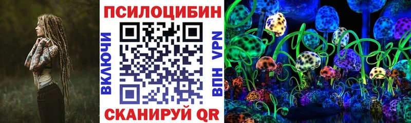 даркнет состав  наркота  Североуральск  Псилоцибиновые грибы Magic Shrooms 