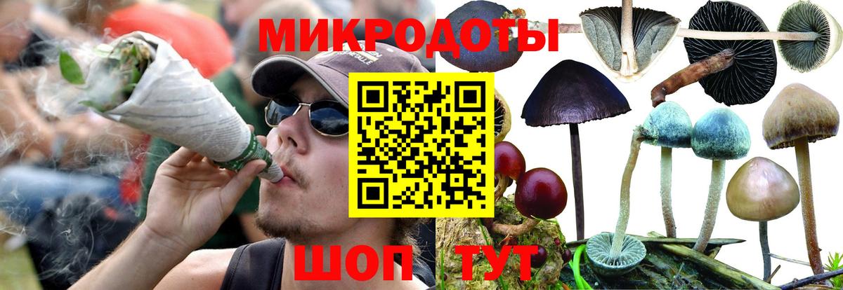 Североуральск  Псилоцибиновые грибы Psilocybe  Галлюциногенные грибы ЛСД  купить закладку  Вход с VPN 